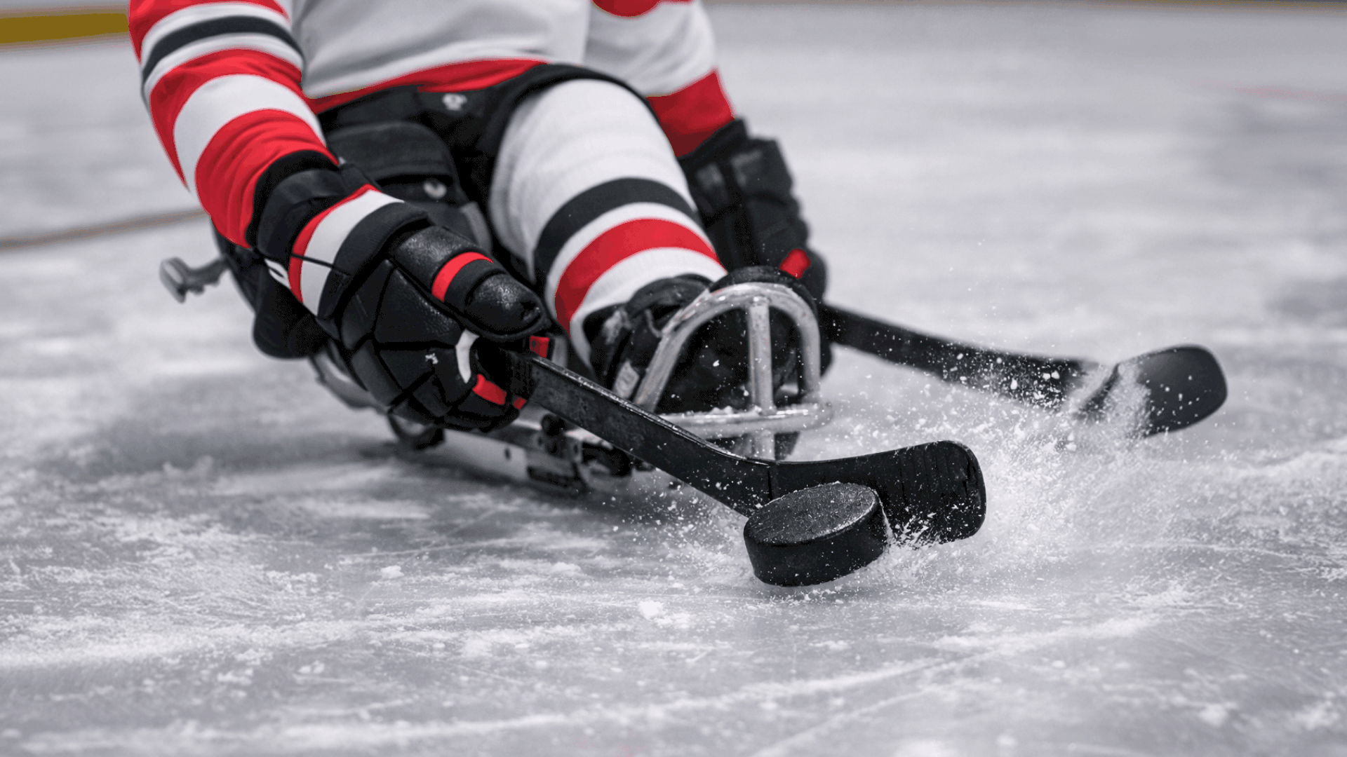 Winter Para Sport: Redefining The Game